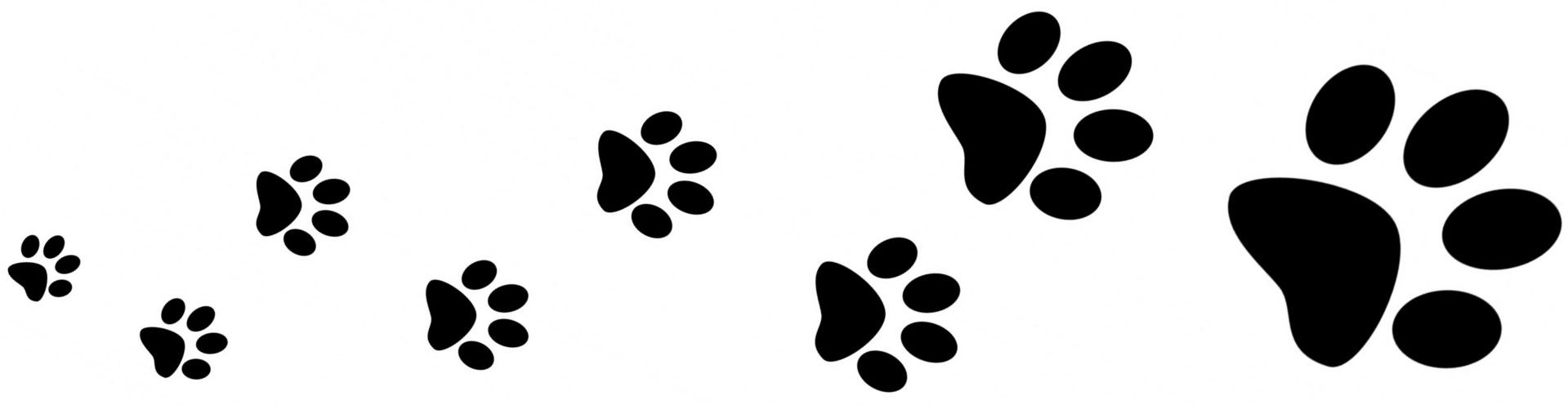 paw print path