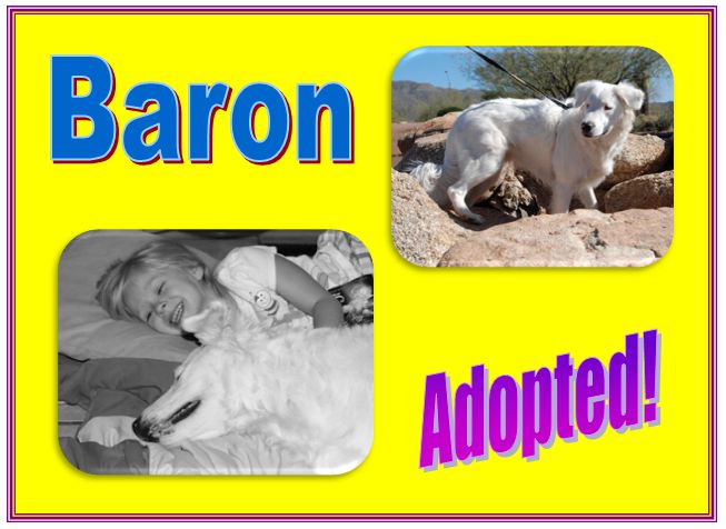 Baron Adopted