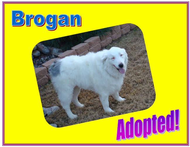 Brogan adopted