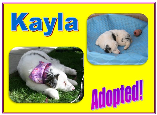 Kayla adopted