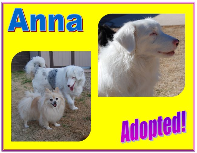 anna adopted