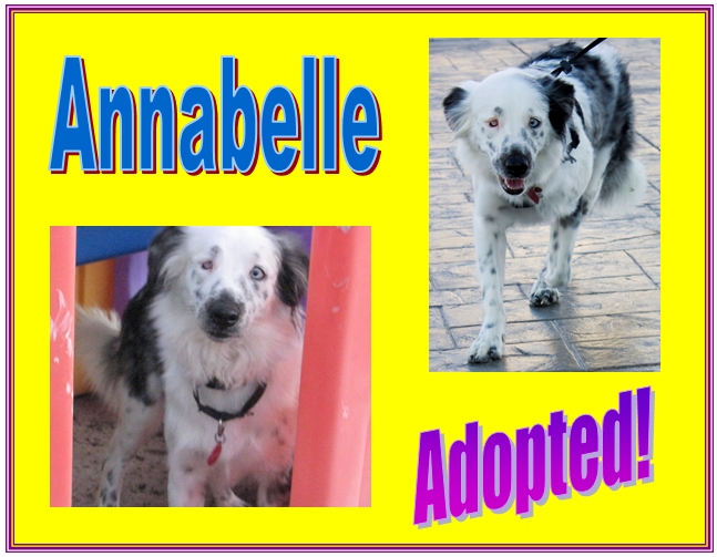 annabelle adopted
