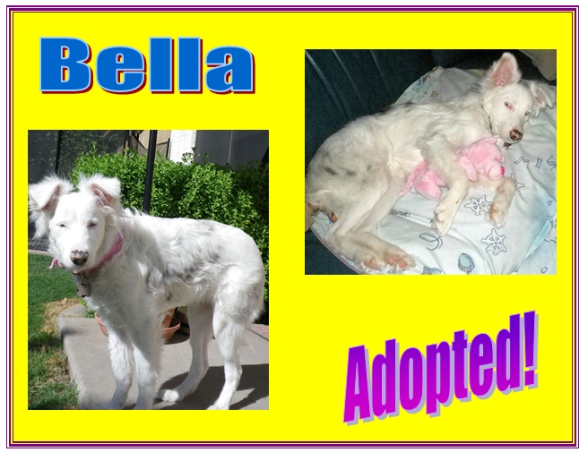 bella adopted