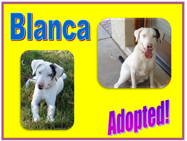 blanca adopted