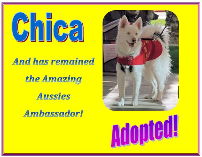 chica adopted