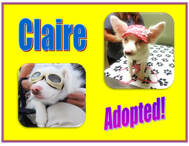 claire adopted