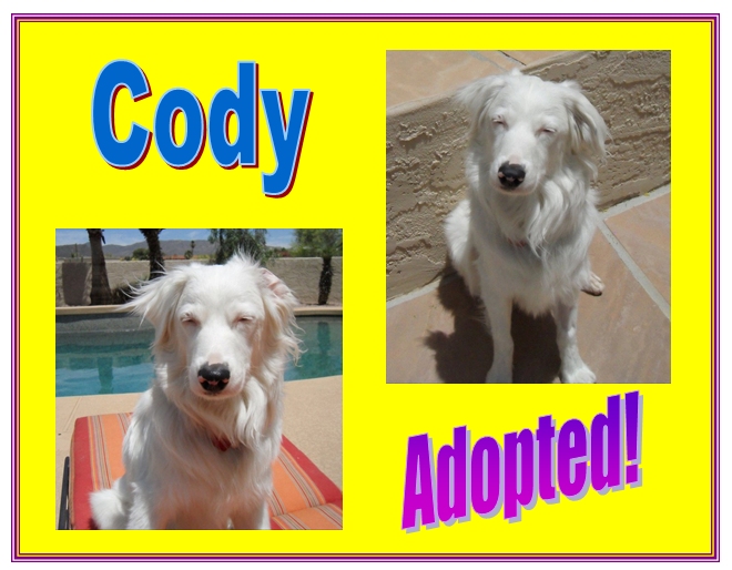 cody adopted