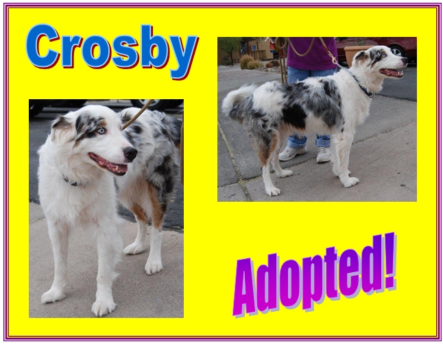 crosby adopted