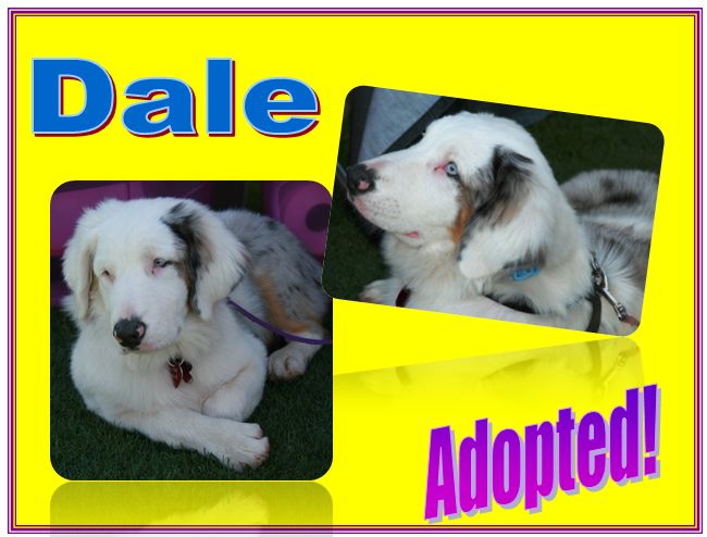 dale adopted