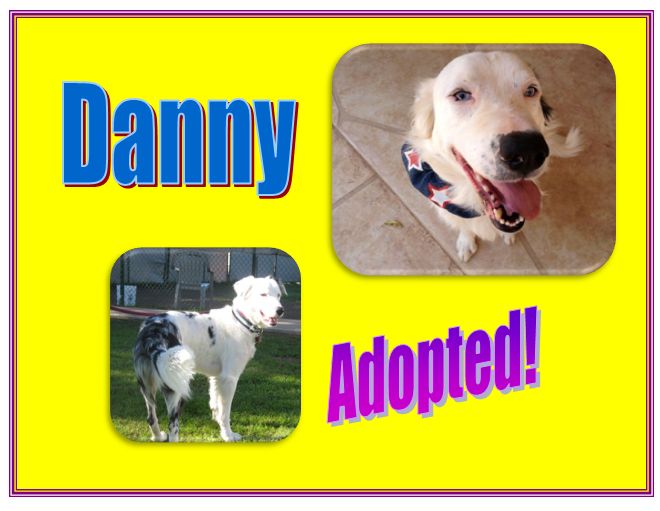 danny adopted