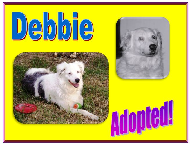 debbie adopted