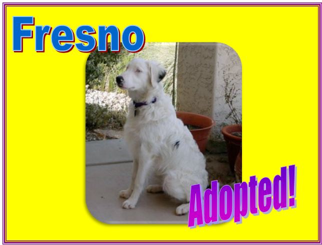 fresno adopted