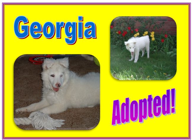 georgia adopted