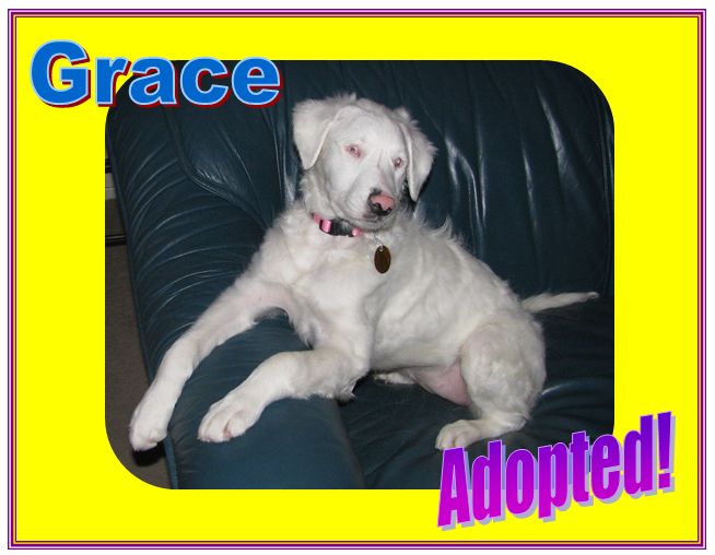 grace adopted