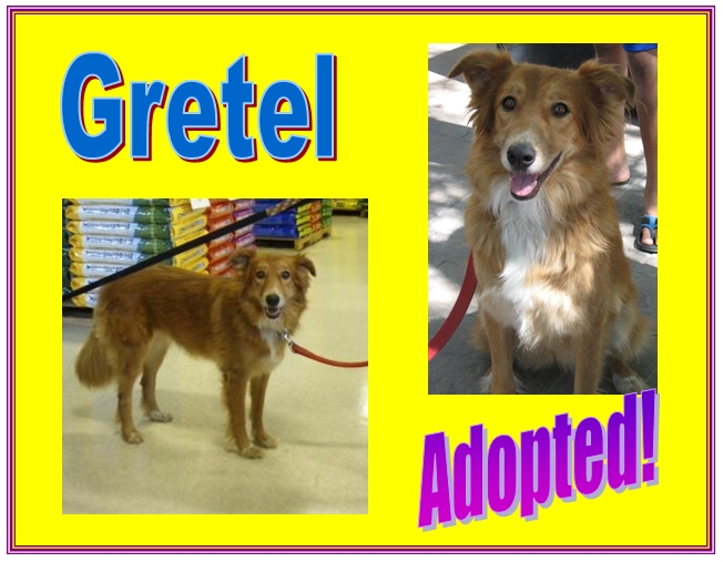 gretel adopted