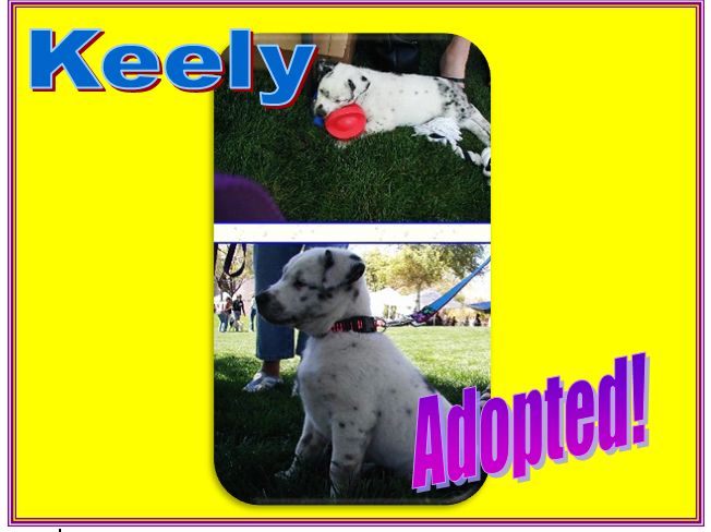 keely adopted