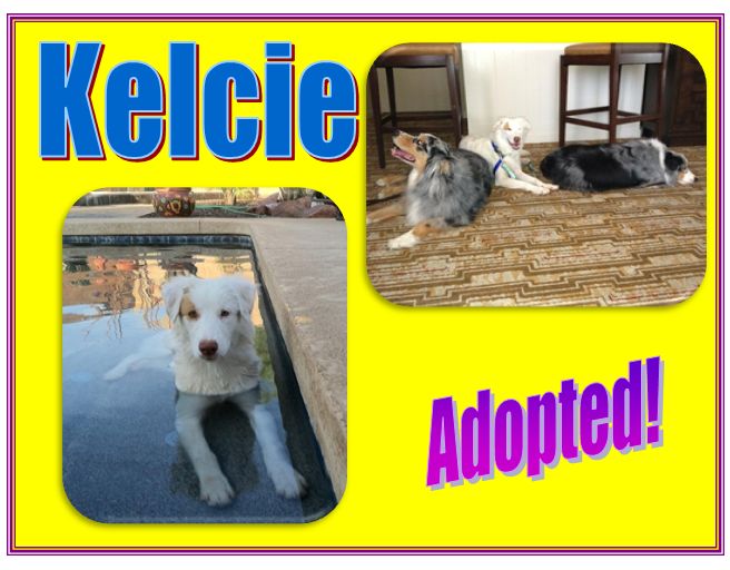 kelcie adopted
