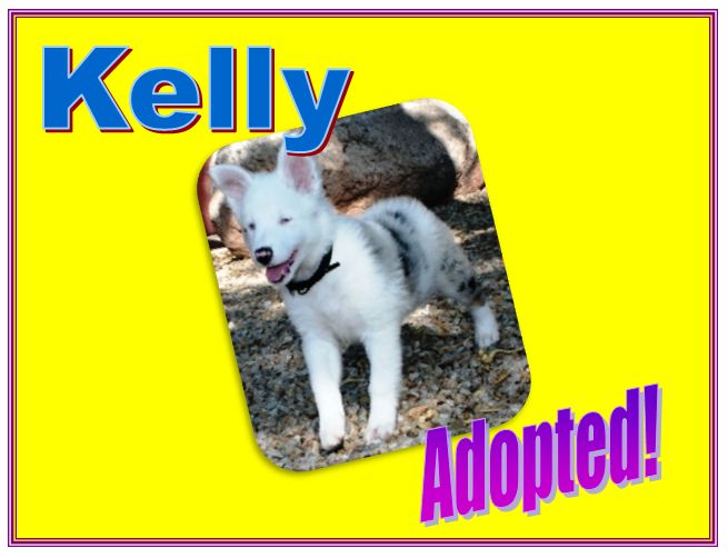 kelly adopted