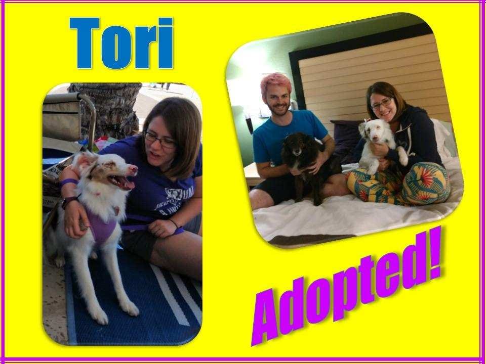 Tori adopted